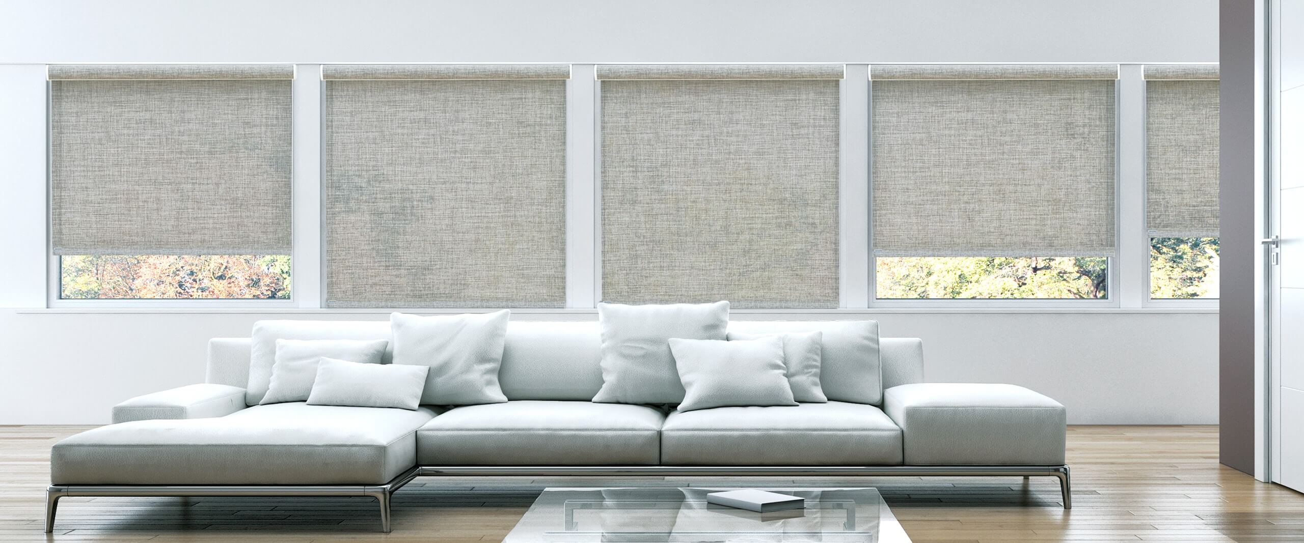 Catawba Roller Shades | Bloomin’ Blinds - (803) 630-3056